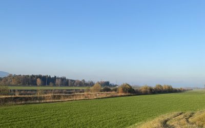 Gespräche mit Paula 1.1